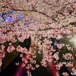 【東京涉谷住宿推薦】涉谷EN飯店,位於鬧區,交通便利,主題風 @小環妞 幸福足跡