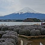 【心齋橋道頓崛附近飯店】大阪富士屋,逛街住宿推薦,早餐是好吃的コメダ珈琲店 @小環妞 幸福足跡