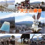 馮記三盞燈豬腳姜-澳門必吃特色美食-豬腳薑味濃-配飯配酒推薦 @小環妞 幸福足跡