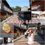 【新宿飯店推薦】東京新宿CP值高住宿,便宜旅館/平價飯店/五星級酒店 @小環妞 幸福足跡