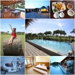 【中秋送禮首選】亞尼克十勝生乳捲-柴燒黑糖生乳捲～團購冠軍聖品，清爽不甜膩超好吃！ @小環妞 幸福足跡