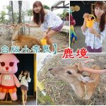 【青森必玩釣扇貝】帆立小屋,2分鐘釣4隻！超美味扇貝美食大餐 @小環妞 幸福足跡