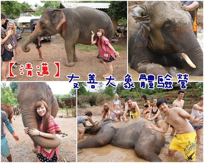 【泰國清邁大象半日遊】友善大象體驗營,餵食大象,跟大象洗泥巴浴(8) @小環妞 幸福足跡