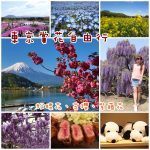【台中中科落羽松】落羽松季節過了也超美,城市中的忘憂森林! @小環妞 幸福足跡