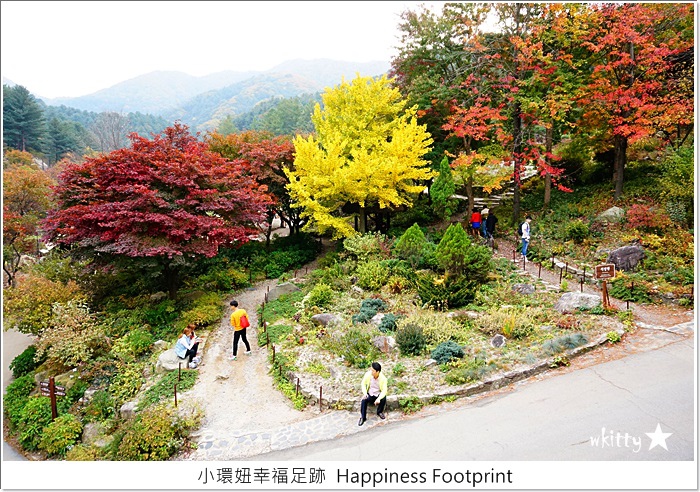 【韓國首爾自由行】晨靜樹木園，楓葉紅了漂亮的世外桃源，如夢似幻的場景【14】 @小環妞 幸福足跡