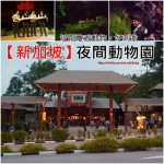 【清境黃慶果園民宿】清境最難搶的親子住宿TOP1,房間內就有樹屋溜滑梯超開心~ @小環妞 幸福足跡