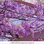 【好康推薦】信義區府前廣場停車場，太扯了！精華地段18點後停車只要10元/小時，免費咖啡廳、五星級廁所、貼心育嬰房、休息室，停車還可以抽平板電腦！ @小環妞 幸福足跡
