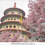 《KINYO蒸氣清潔拖把》跟團好禮二選一(手持小巧掛燙機+復刻時尚美食鍋)，有小孩家庭超需要‼ @小環妞 幸福足跡