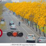 【墾丁民宿】迷路為了看花緩民宿,超推頂樓海景房&#038;無菜單晚餐！ @小環妞 幸福足跡