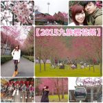【花蓮民宿推薦】梯田山民宿，花蓮壽豐 ♥ 荷蘭小鎮在山裡，住在童話故事小屋中！ @小環妞 幸福足跡