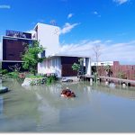【韓國首爾美食(6)】廣藏市場광장시장 ♥ 韓綜愛來的美食小吃，跟著running-man的腳步來大吃！順熙家綠豆煎餅、毒藥（麻藥）紫菜飯捲 @小環妞 幸福足跡