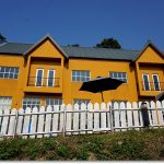 【彰化兩天一夜行程】彰化一日遊景點這樣玩?田園野餐,彩虹冰淇淋,鳥居拉麵,百萬夜景一次達陣! @小環妞 幸福足跡