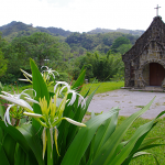 沖繩機場飯糰-超好吃的豬肉蛋飯糰-抵達沖繩跟回程各吃一次 @小環妞 幸福足跡