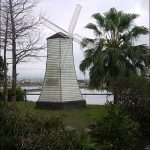 【寶寶副食品食譜】高麗菜泥,高麗菜米糊,低敏4m寶寶超買單的青菜 @小環妞 幸福足跡