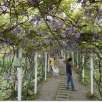 【新加坡美食(26)】龍海鮮螃蟹王，到新加坡必吃的辣炒螃蟹推薦這家！ @小環妞 幸福足跡