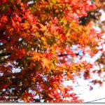 【韓國表演秀推薦】麵包秀(Pang Show),漢江遊覽船,DIY自己動手做麵包(14) @小環妞 幸福足跡