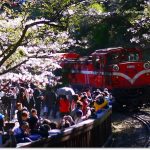 [高雄景點推薦]˙南區分局~回味痞子英雄 &hearts; 來當波麗士大人 @小環妞 幸福足跡