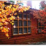 【台北林口美食】夏部壽喜鍋,優質肉品搭配新鮮值送的野菜,吃壽喜燒好健康! @小環妞 幸福足跡