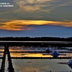 【北海道札幌美食】拉麵共和國,梅光軒拉麵,味噌拉麵很夠味,餃子也好吃(19) @小環妞 幸福足跡