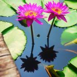 【函館住宿推薦2025】函館評價超高10間飯店,北海道函館車站附近住宿 @小環妞 幸福足跡