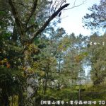 【萬里龜吼漁港美食】漁家鄉海鮮餐廳,萬里蟹秋蟹正肥美,美味推薦 @小環妞 幸福足跡