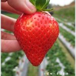 【京都花見小路美食】祇をんう鰻魚飯,米其林一星的木桶鰻魚飯 @小環妞 幸福足跡