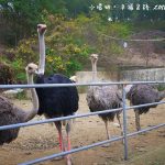 《MIYA石墨烯溫控USB熱敷墊團購》搶翻天了，冬天必備暖暖小物‼ @小環妞 幸福足跡