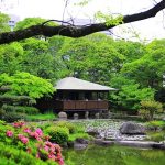 [韓國首爾美食] 土房 &hearts; 仁寺洞韓式家庭菜，2013首爾小旅行(已歇業) @小環妞 幸福足跡