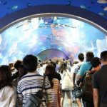 [婚禮]拍婚紗道具製作分享PART1&閃亮婚鞋!! @小環妞 幸福足跡