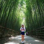 【士林官邸泰迪熊展】100隻泰迪熊來台北了!展期1/16-2/18 @小環妞 幸福足跡