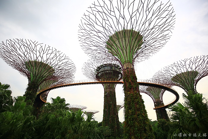 【新加坡濱海灣花園】超厲害巨大雙冷室攻略,新加坡必去景點 @小環妞 幸福足跡