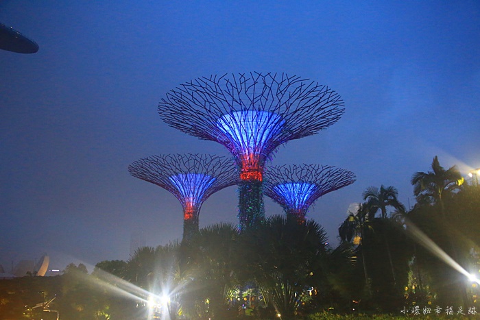 【新加坡濱海灣花園】超厲害巨大雙冷室攻略,新加坡必去景點 @小環妞 幸福足跡