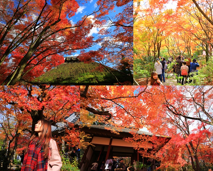 【日本關西自由行】五日遊遍京都嵐山.姬路.神戶.有馬溫泉.淡路島 @小環妞 幸福足跡