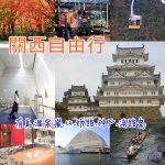 【琉元堂團購】琉元堂寶寶粥.醇雞精華飲.元氣粥.燕窩.國寶茶.頂級即食官燕盞 @小環妞 幸福足跡