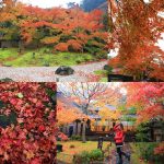 【澎湖喜來登自助餐】來到澎湖一定要吃這頓buffet大餐,海鮮新鮮直送,清酒.啤酒暢飲! @小環妞 幸福足跡