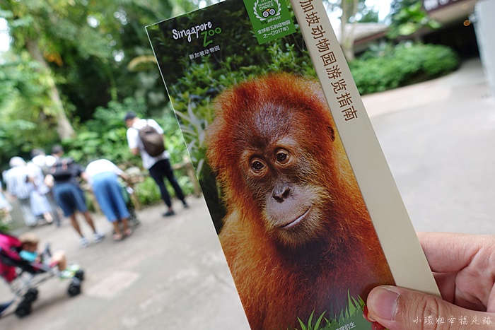 【新加坡動物園】日間動物園攻略,超推薦大象表演,還可餵大象! @小環妞 幸福足跡