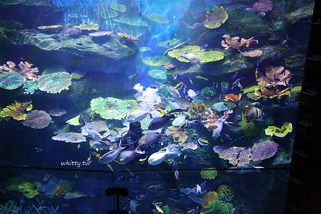 【曼谷海洋世界】暹羅海洋世界,超好玩景點!東南亞最大的水族館 @小環妞 幸福足跡