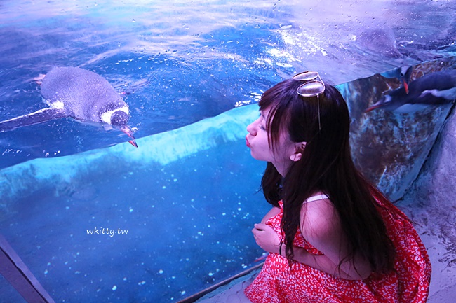 【曼谷海洋世界】暹羅海洋世界,超好玩景點!東南亞最大的水族館 @小環妞 幸福足跡