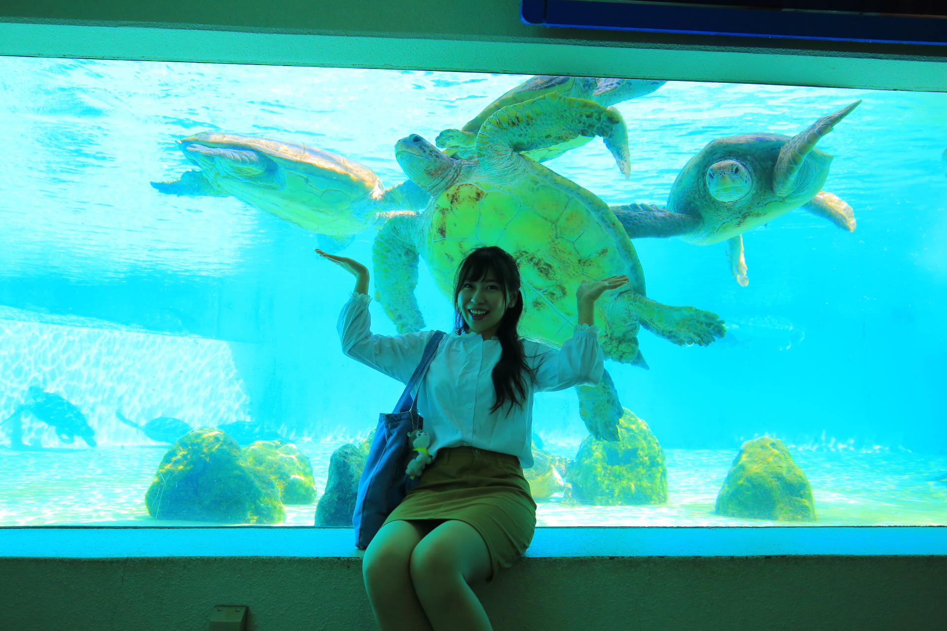 【沖繩景點】海洋博公園一日遊,可不只有水族館,超多好玩設施一日遊攻略 @小環妞 幸福足跡