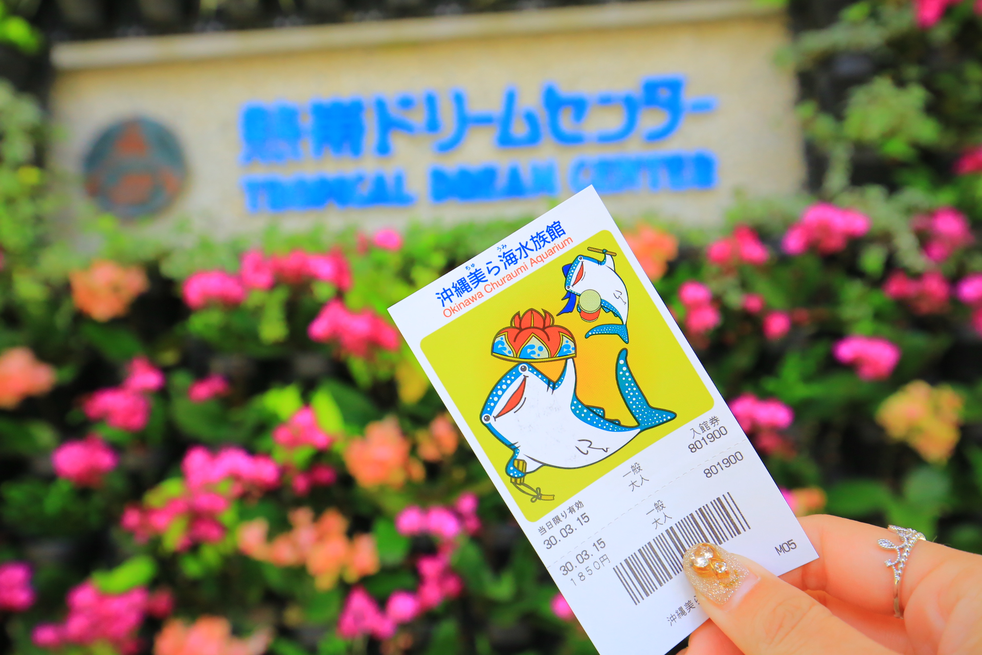 【沖繩景點】海洋博公園一日遊,可不只有水族館,超多好玩設施一日遊攻略 @小環妞 幸福足跡
