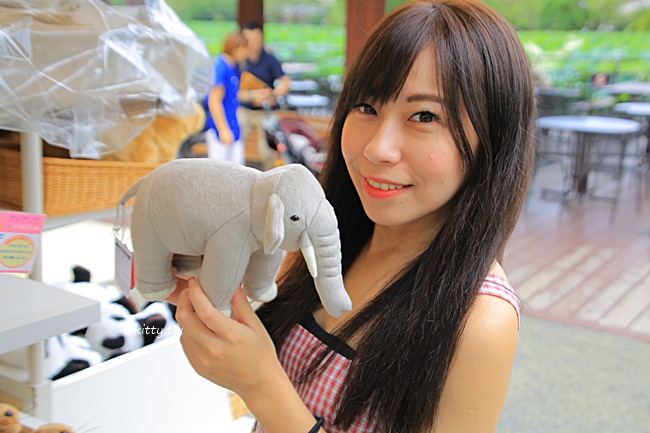 【上野動物園】推薦東京親子旅遊必去景點,可愛熊貓,懸掛式列車 @小環妞 幸福足跡