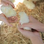 【出國行李清單】出國行李打包超強清單,快下載必備用品清單,看完收完就去機場 @小環妞 幸福足跡