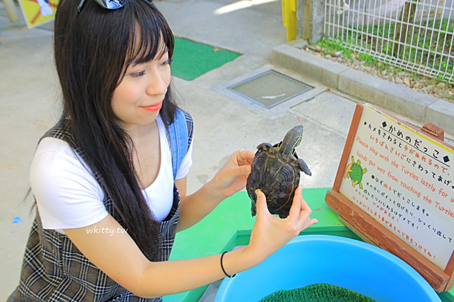 【沖繩兒童王國】沖繩動物園推薦,親子自由行必逛,便宜又好玩 @小環妞 幸福足跡
