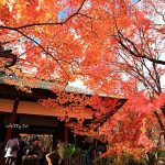 【新加坡景點必看】超過20個必去景點大推薦(含景點地圖),看這篇就夠! @小環妞 幸福足跡