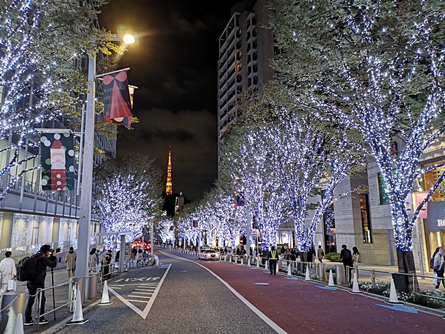 【六本木聖誕點燈】櫸樹板大道夜景,東京鐵塔搭配漂亮燈飾經典圖 @小環妞 幸福足跡