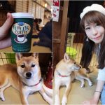 【青森古川市場】自製海鮮丼飯,超級客製化,想吃甚麼自己配! @小環妞 幸福足跡
