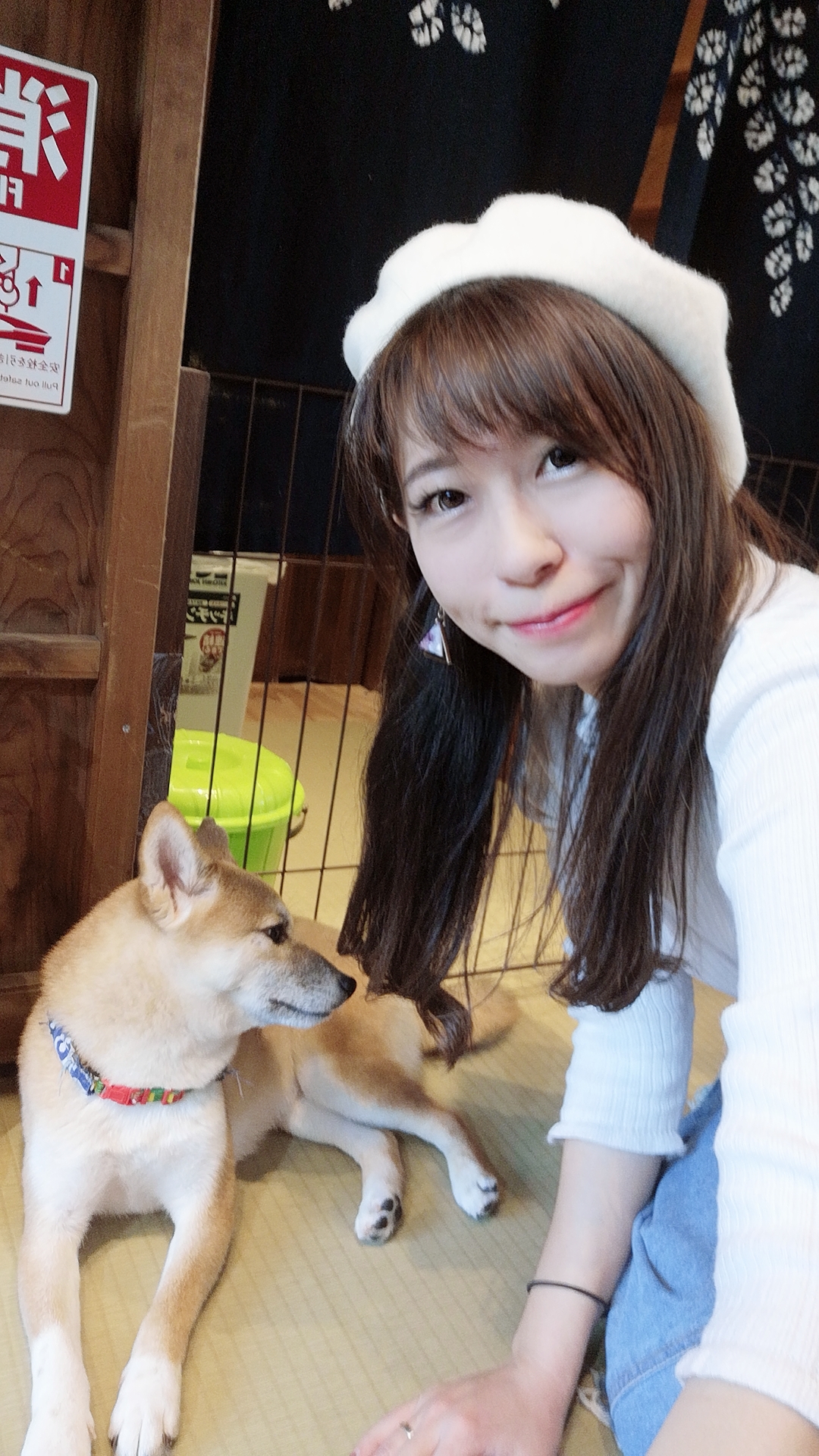 【東京柴犬cafe】原宿乃豆柴咖啡廳,跟小豆柴一起玩耍好療癒阿 @小環妞 幸福足跡