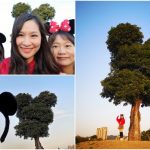 【長野上高地】景點&行程&行李寄放&交通教學,神的故鄉美翻！ @小環妞 幸福足跡