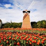 【苗栗住宿推薦2025】TOP8溫泉會館/親子飯店,苗栗泡湯住宿首選! @小環妞 幸福足跡