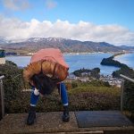 2017全台過年&元宵燈會最詳細版本！展期.交通.小提燈發放！ @小環妞 幸福足跡